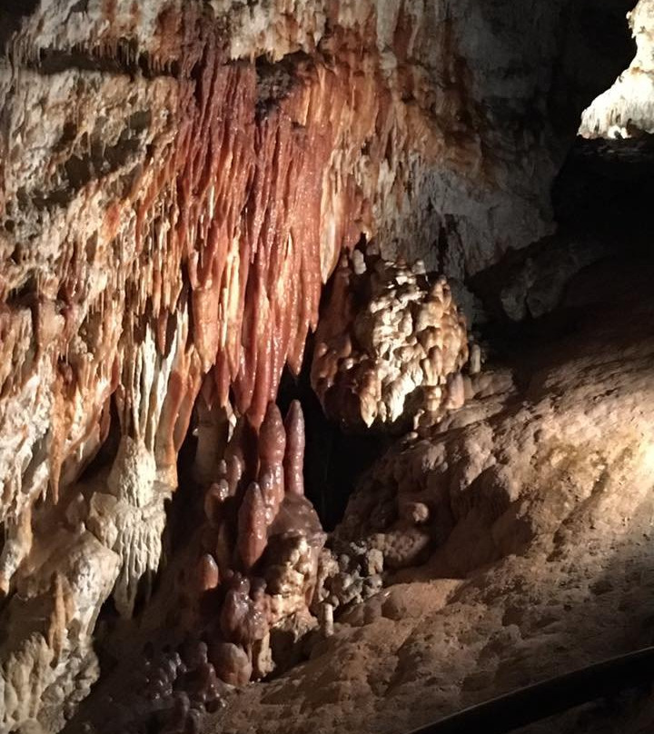 Demanovska Ice Cave景点图片