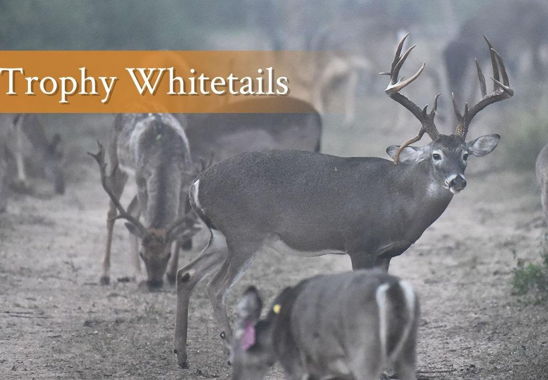 Santa Cruz Ranch-Santa Elena必去景点