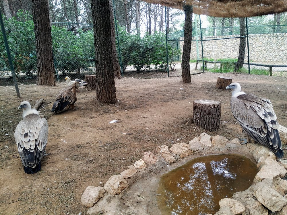 Zoo Guadalajara景点图片