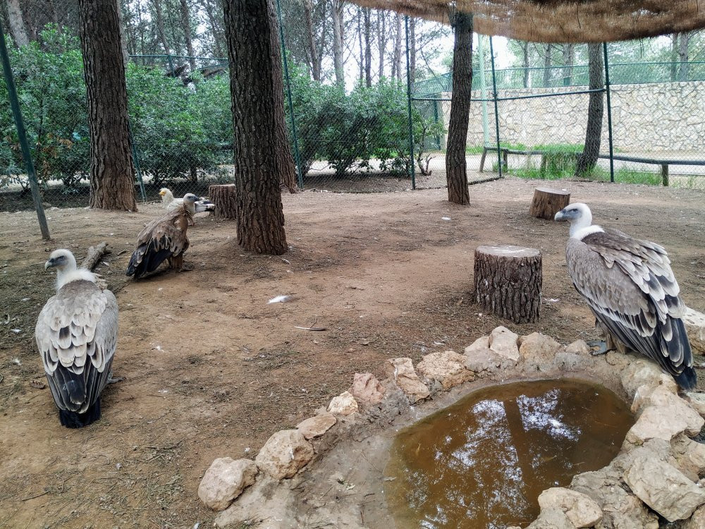 Guadalajara Zoo景点图片