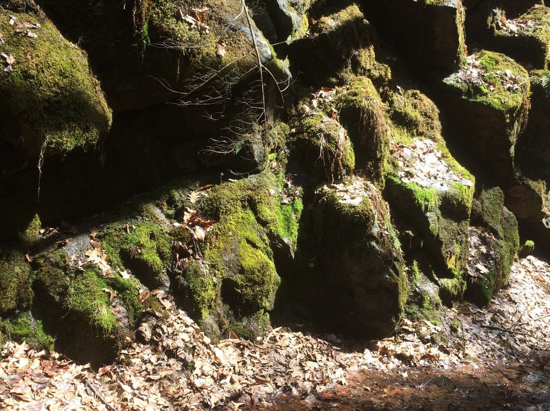 Cheshire Recreational Rail Trail景点图片