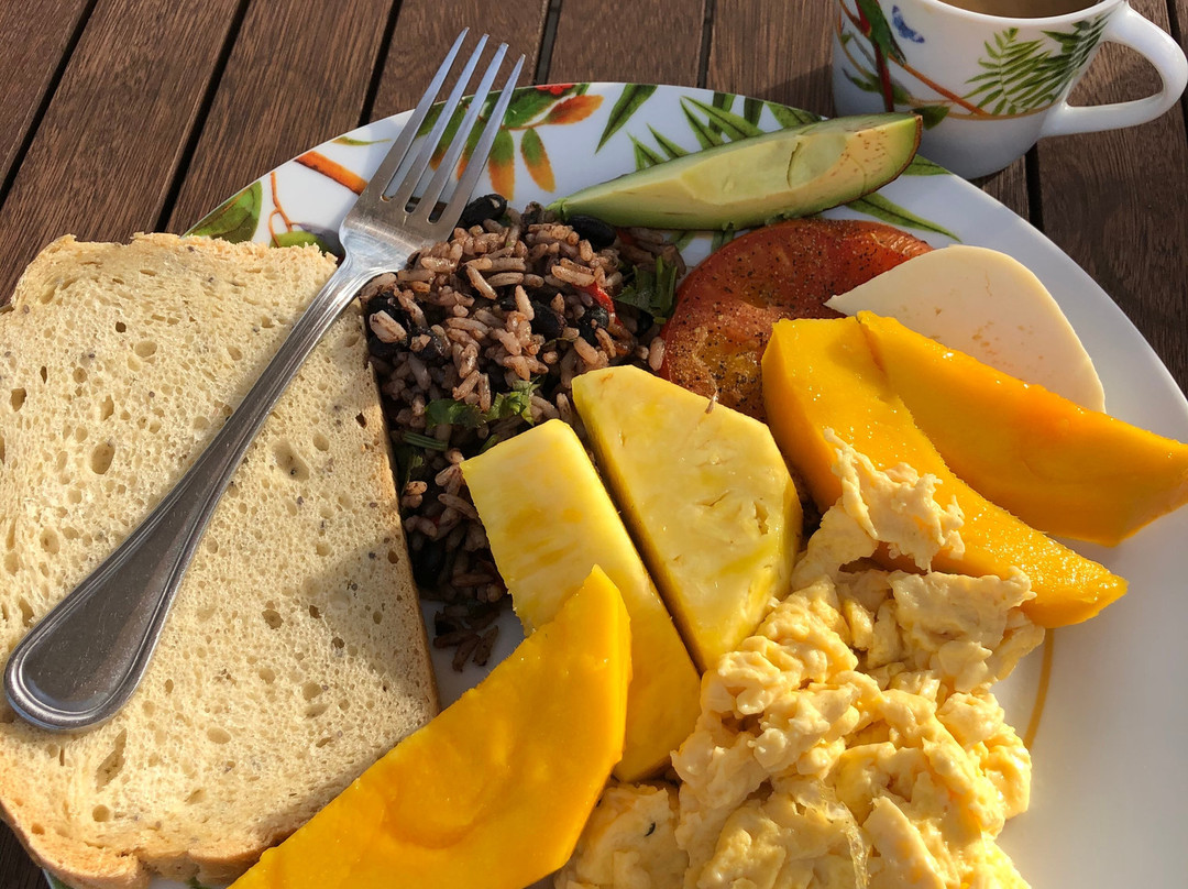 Avatar Eco Lodge主图