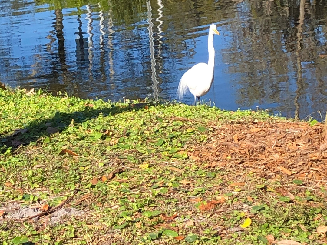 Sims Park-新里奇港必去景点