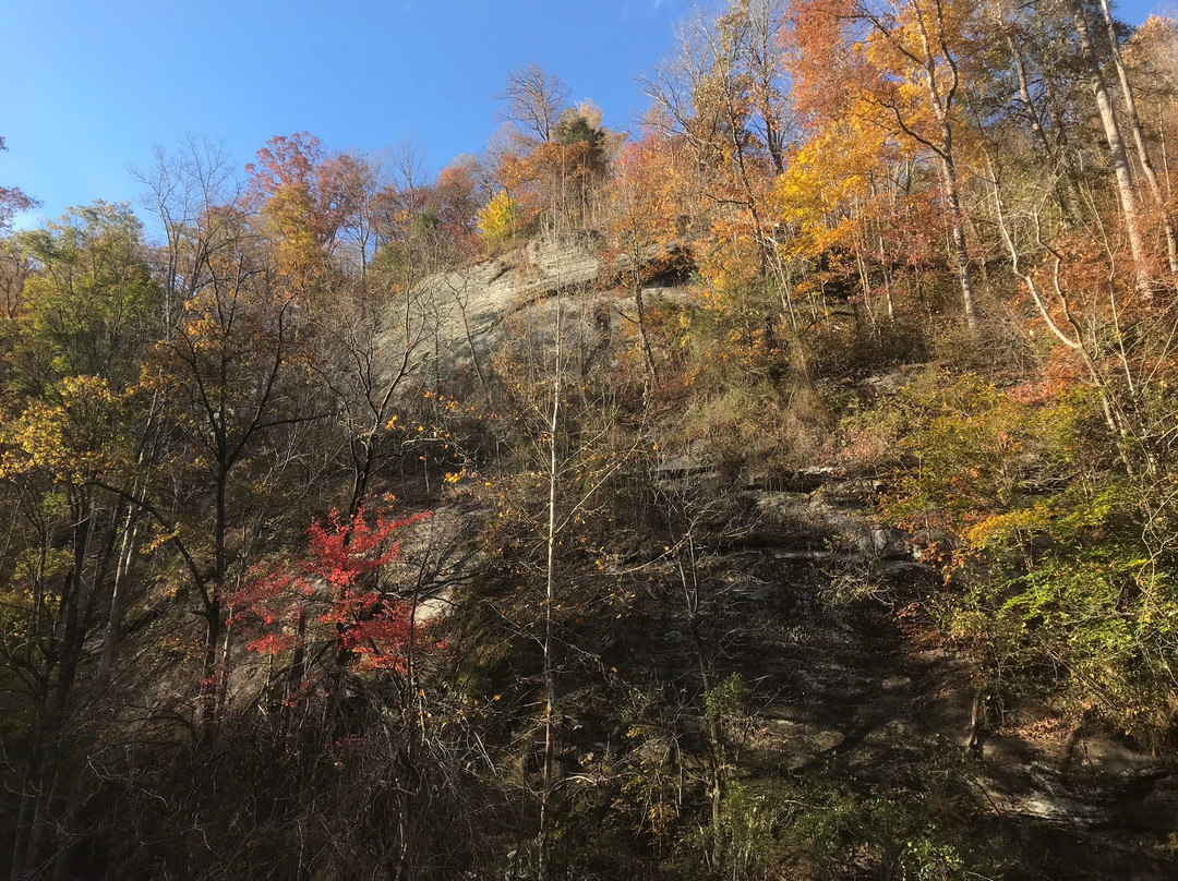 Melrose Falls-Saluda必去景点