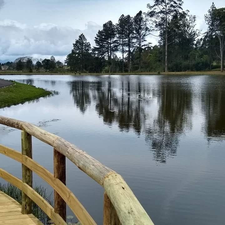 Parque do Lago景点图片