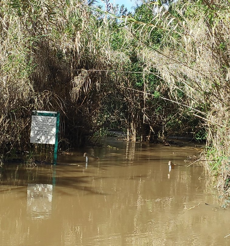The Majrasa-Kinneret必去景点