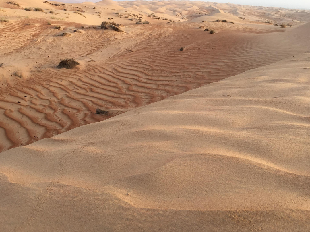 Oriental Nights Rest House (Tour Operator )-Al Sharqiyah必去景点