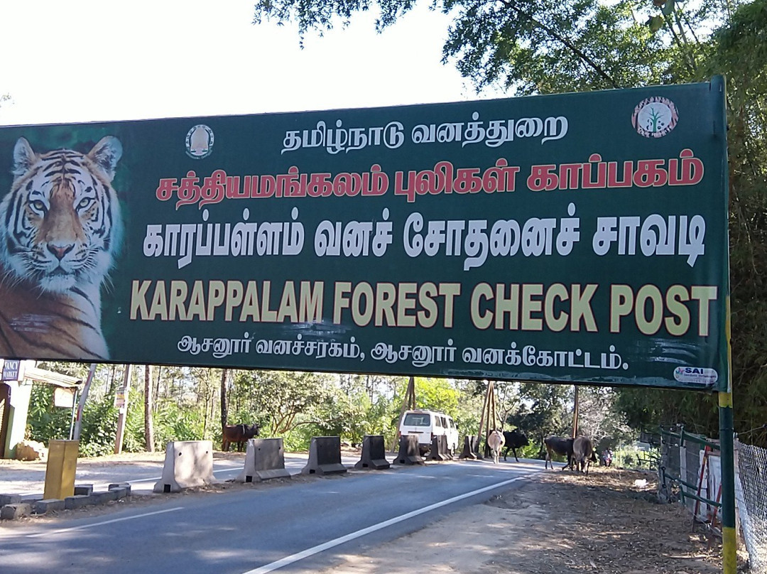 Sathyamangalam Tiger Reserve景点图片