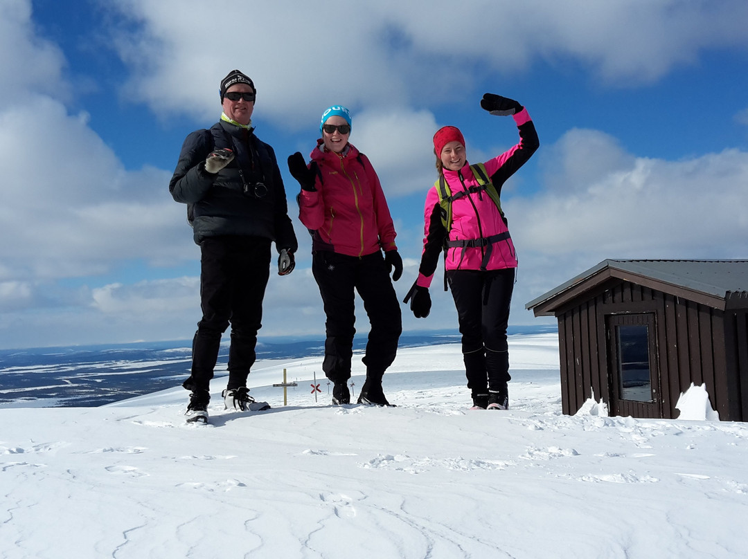 Karin Niva Event & Support