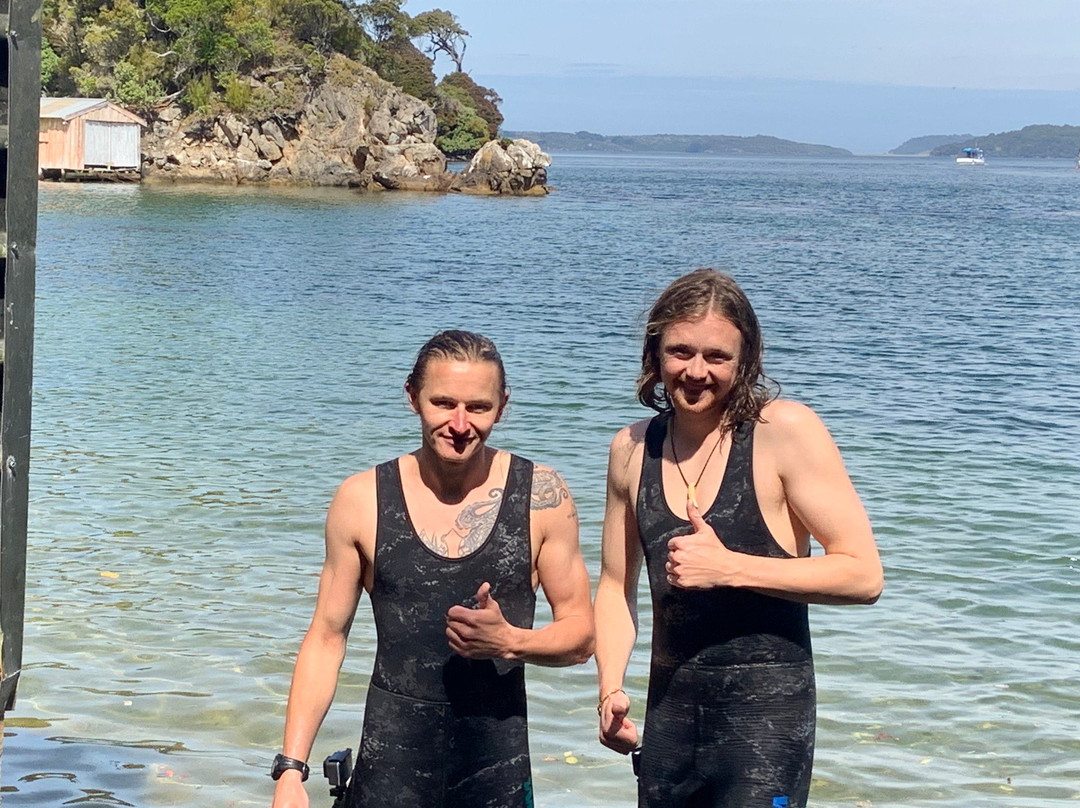 Stewart Island Snorkeling Adventures景点图片