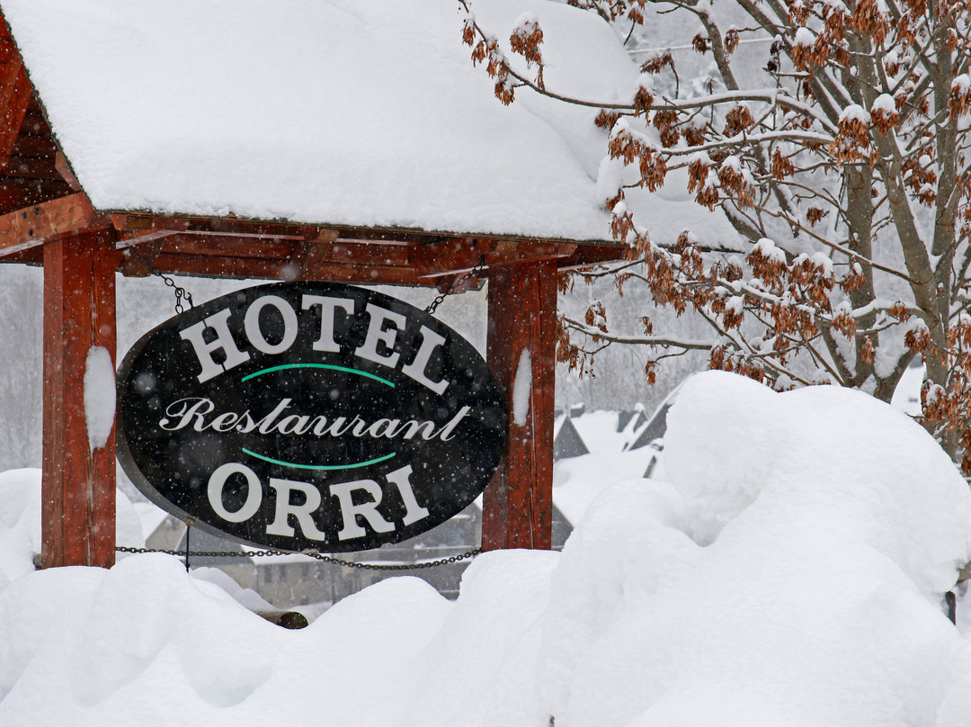 RV Hotels Orri主图