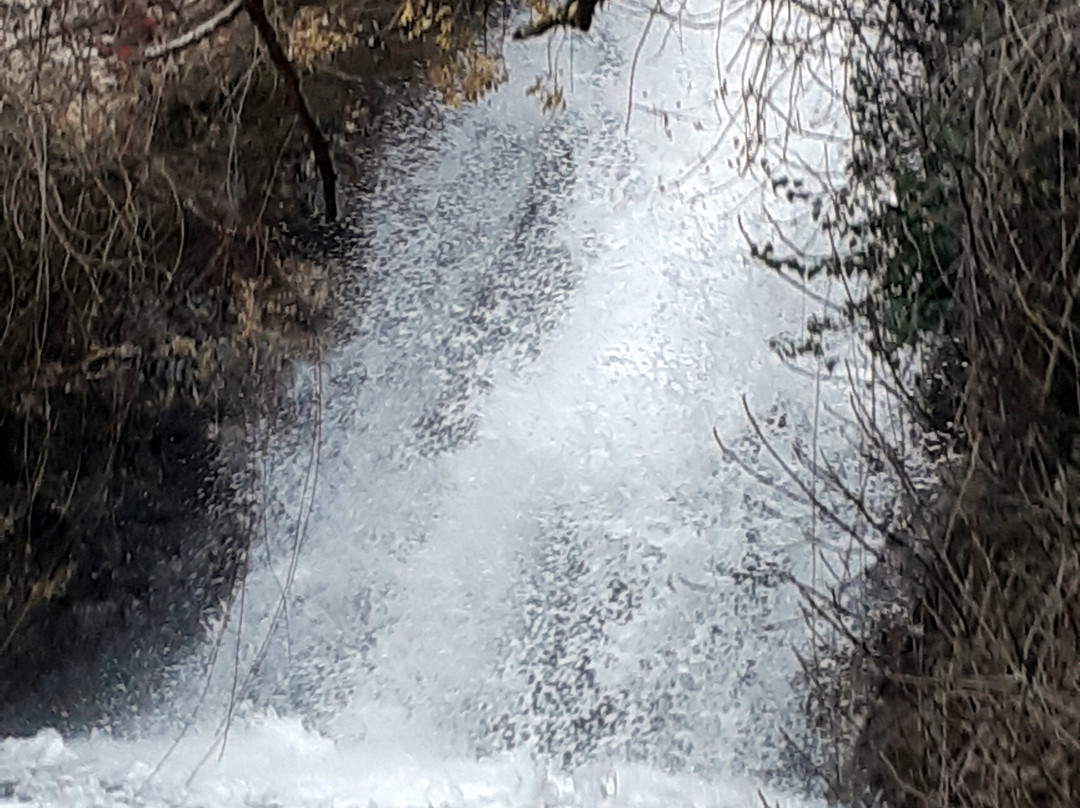 Iyon Stream Nature Reserve-Metulla必去景点