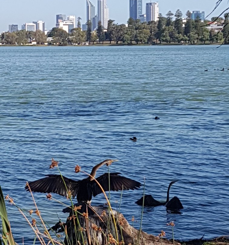 Lake Monger景点图片