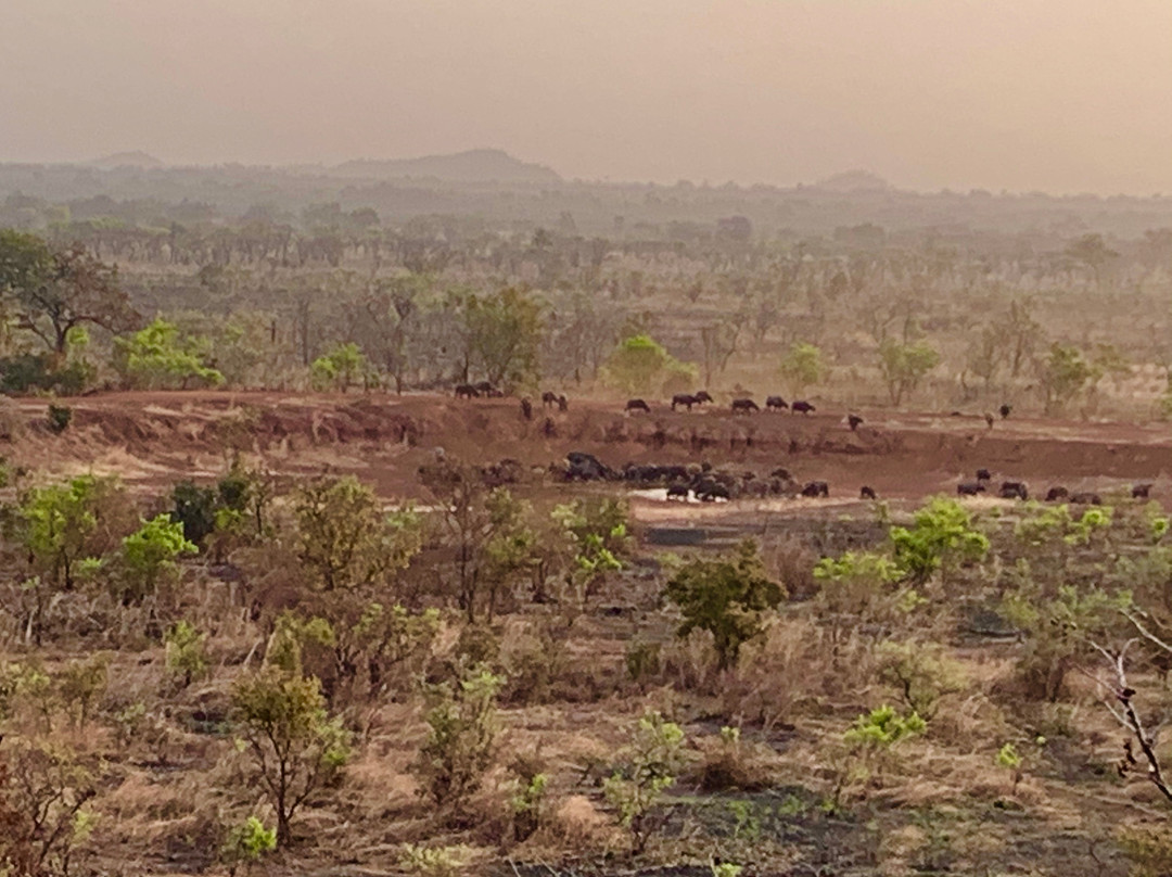 Pendjari National Park-Tanguieta必去景点