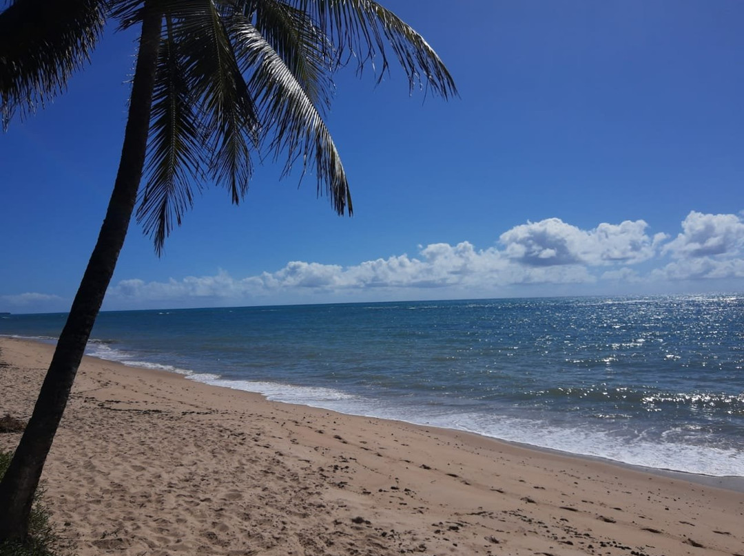 Garca Torta Beach-Maceio必去景点