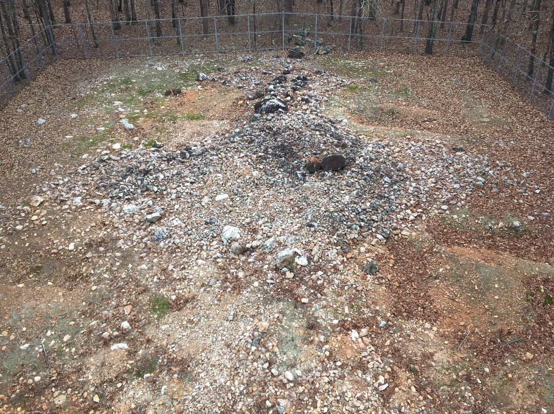 Rock Hawk Effigy and Trails-Eatonton必去景点