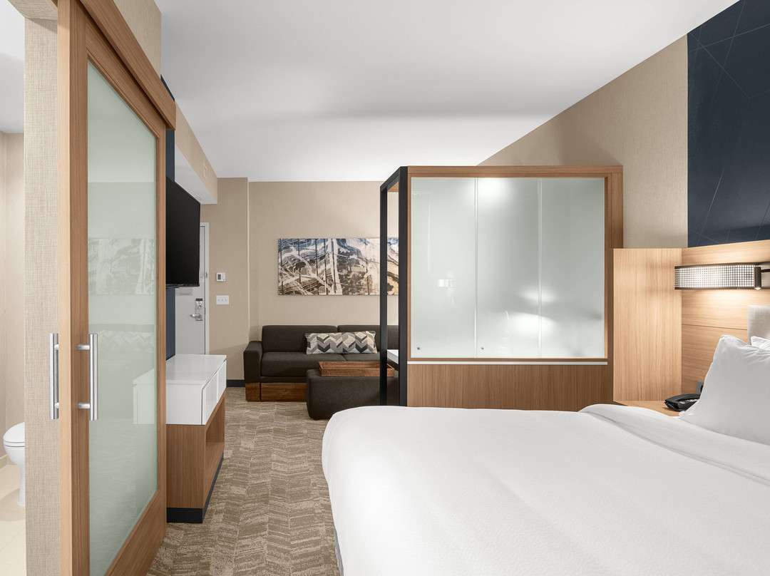 SpringHill Suites by Marriott Jackson主图