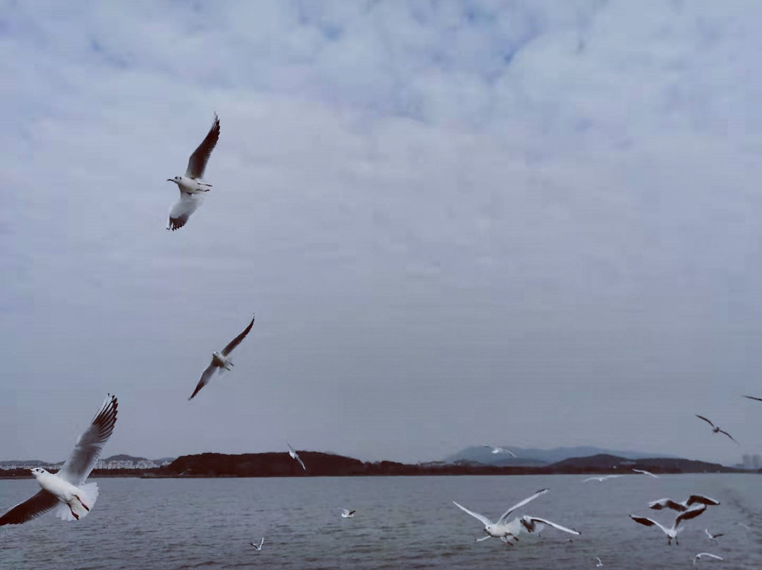 龙头渚公园-无锡市必去景点