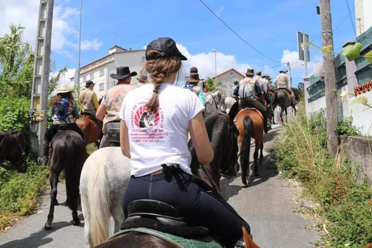Camino de Santiago a Caballo