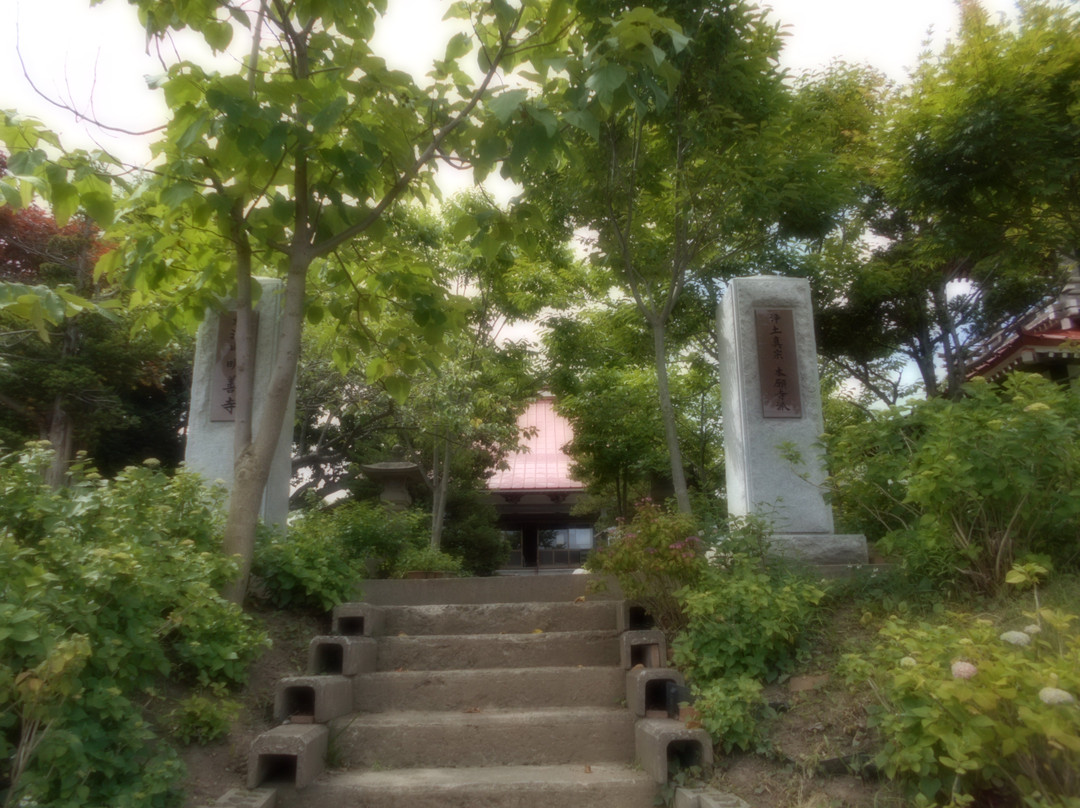 Myozen-ji Temple景点图片
