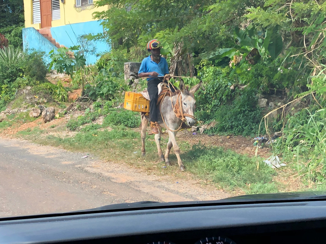 J mac tours-蒙特戈贝必去景点