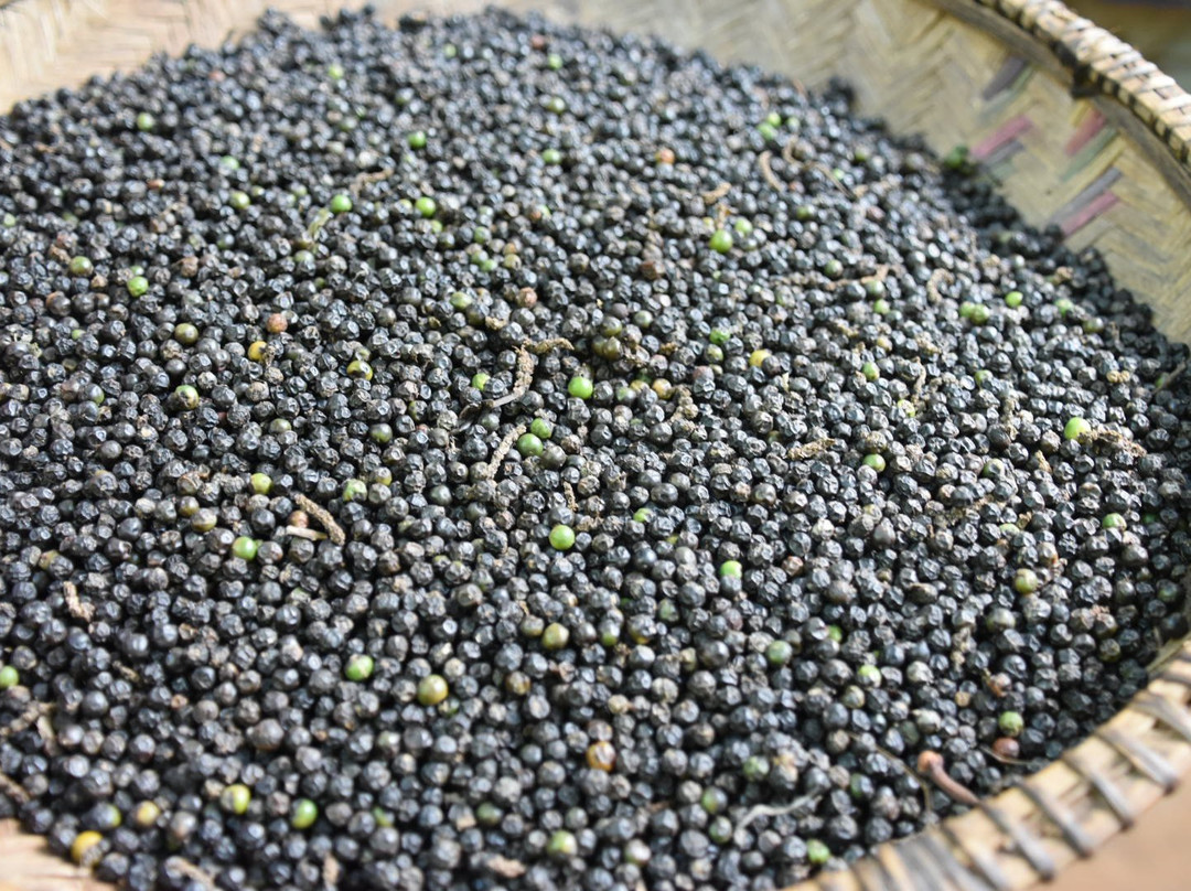 Big Body With Tatata Spice Farm景点图片
