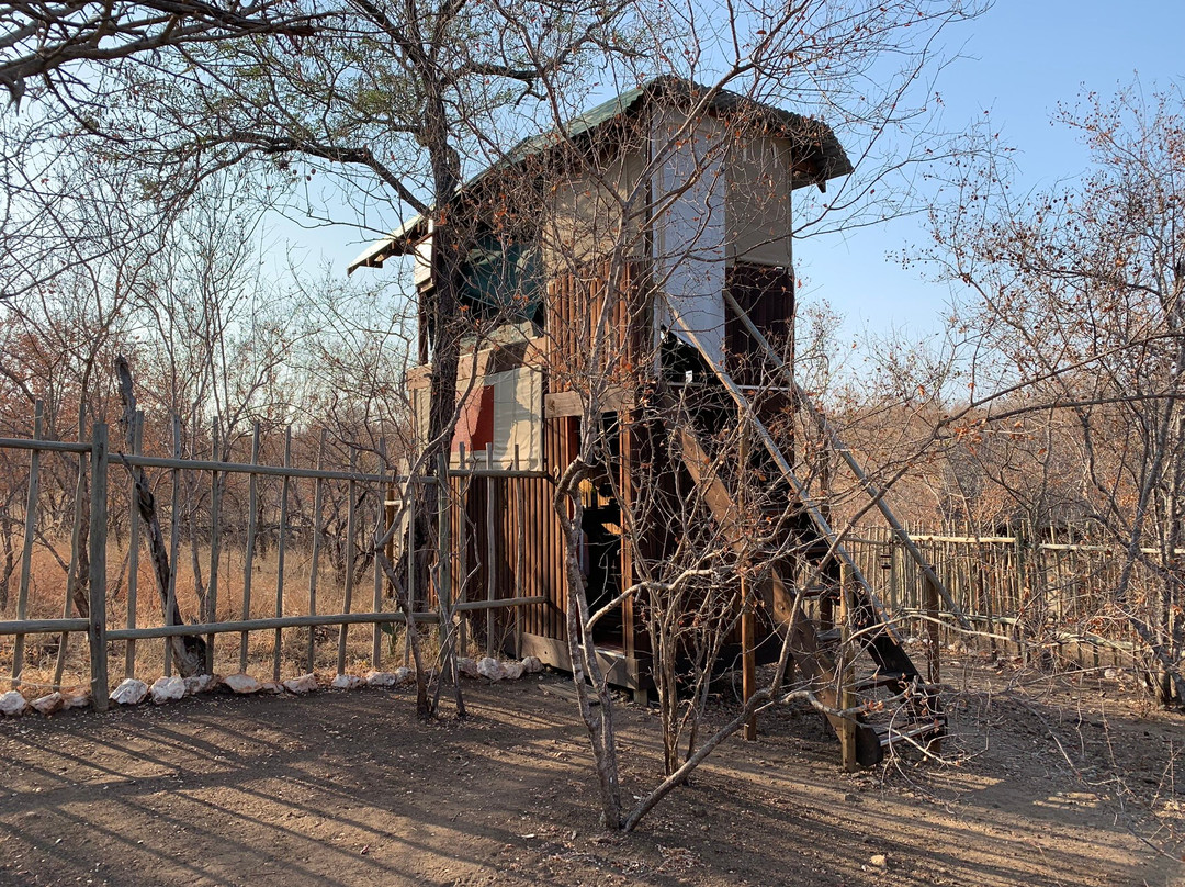 Ximongwe Safari Camp主图