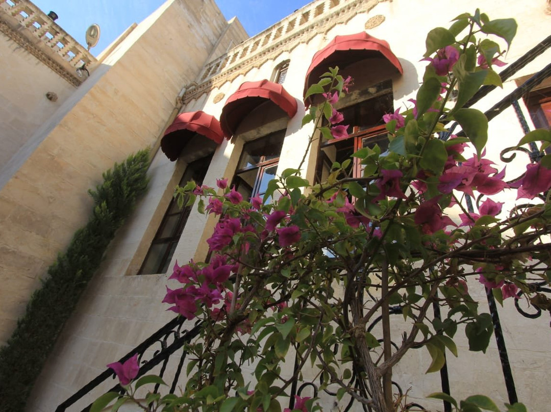 Palmyra Boutique Hotel主图