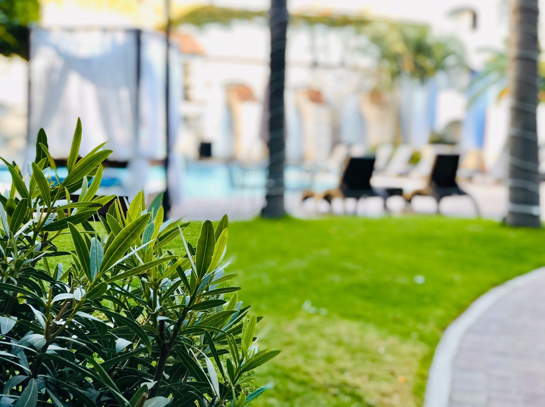 Gran Plaza Hotel & Convention Center主图