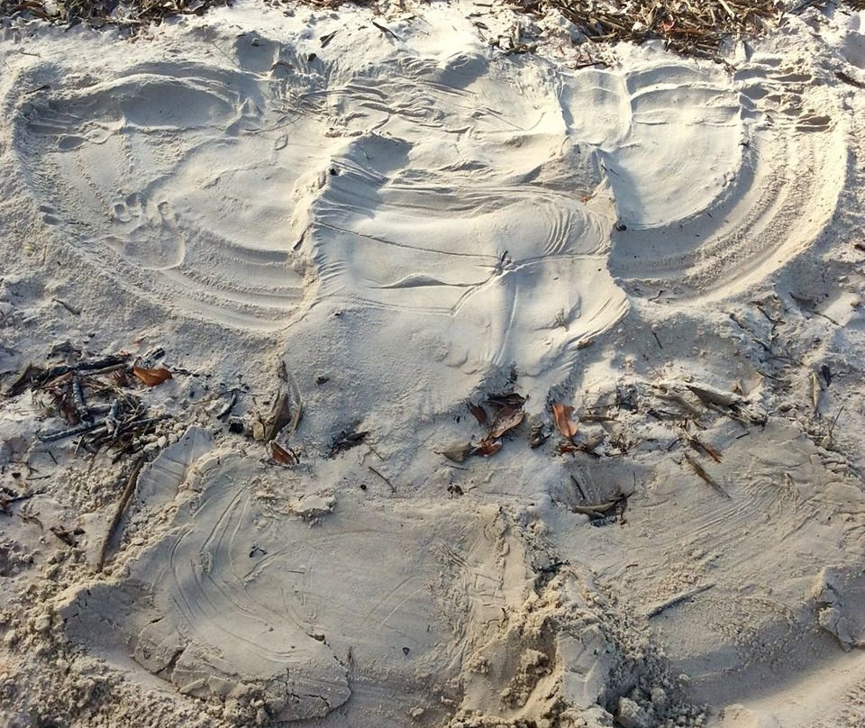 Sandy Beach Recreation Reserve景点图片