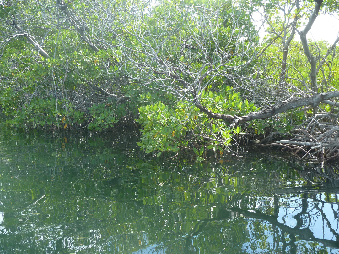 Aleli Tours - Day Tours-La Parguera必去景点