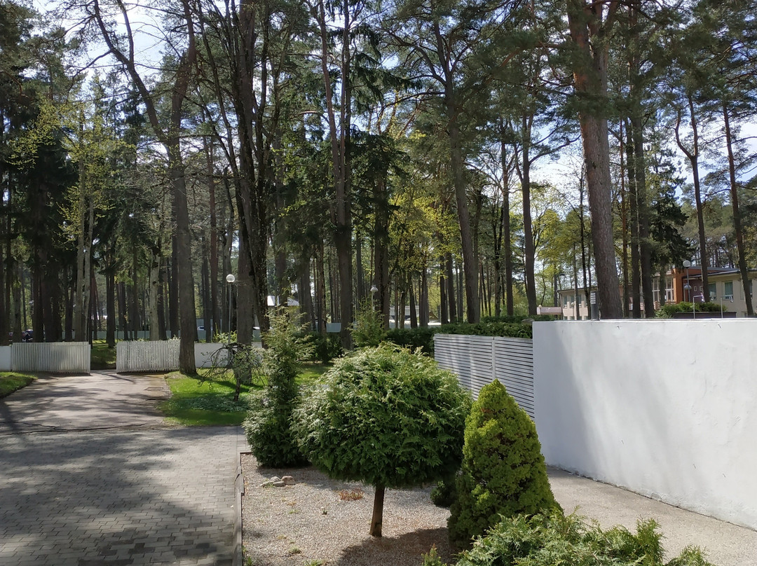 Narva-Jõesuu Spa & Sanatoorium主图