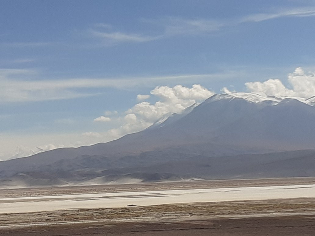 Salar de Ascotan景点图片