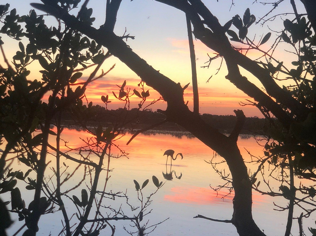 Ecohotel Flamingo Playa主图