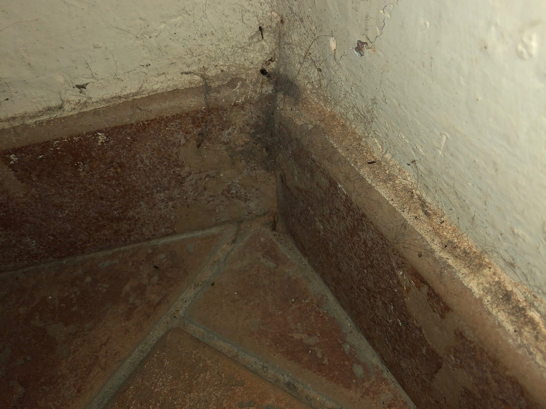 B&B Montebuono主图