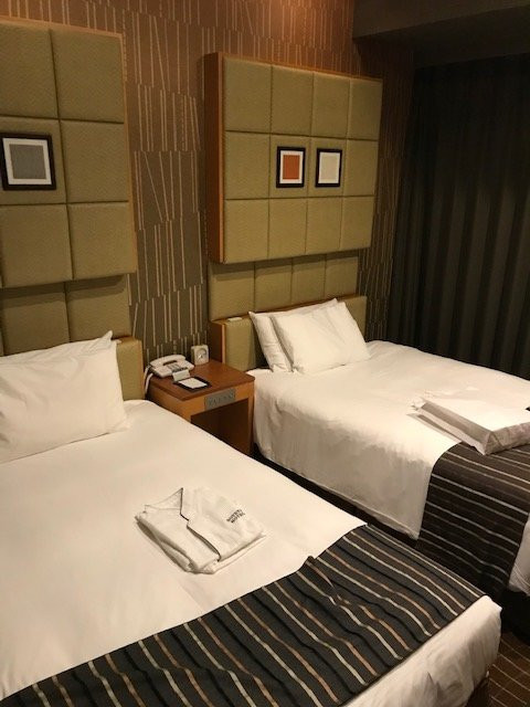 相铁FRESA INN 东新宿站前主图