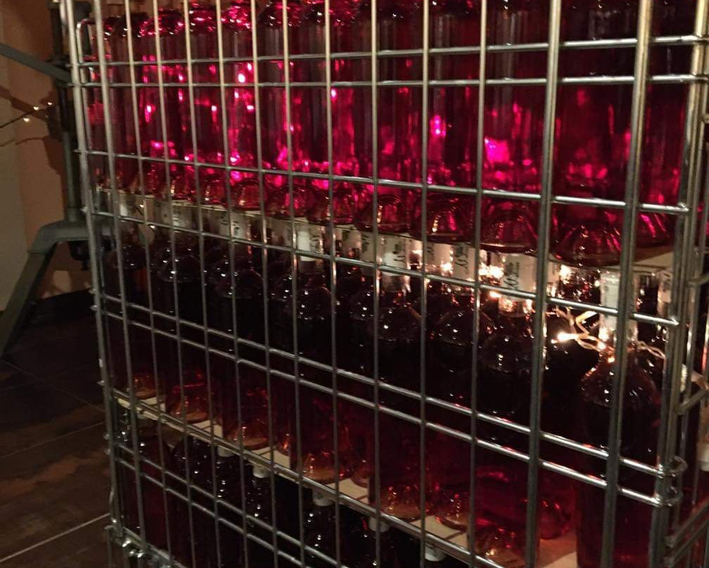 Melidou Winery景点图片