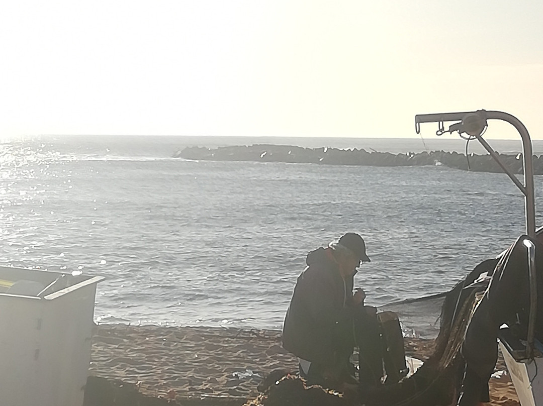 Praia de Vila Cha景点图片