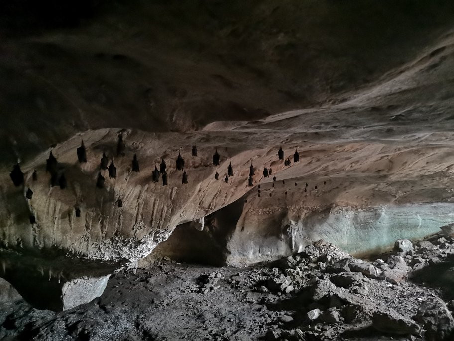 Gua Kelawar (Bat Cave)-兰卡威必去景点