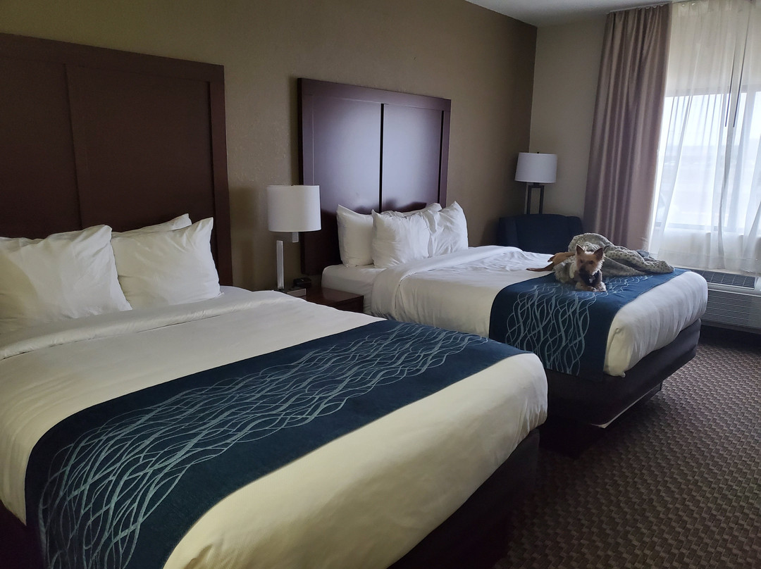 Comfort Inn Near Kokomo Speedway主图