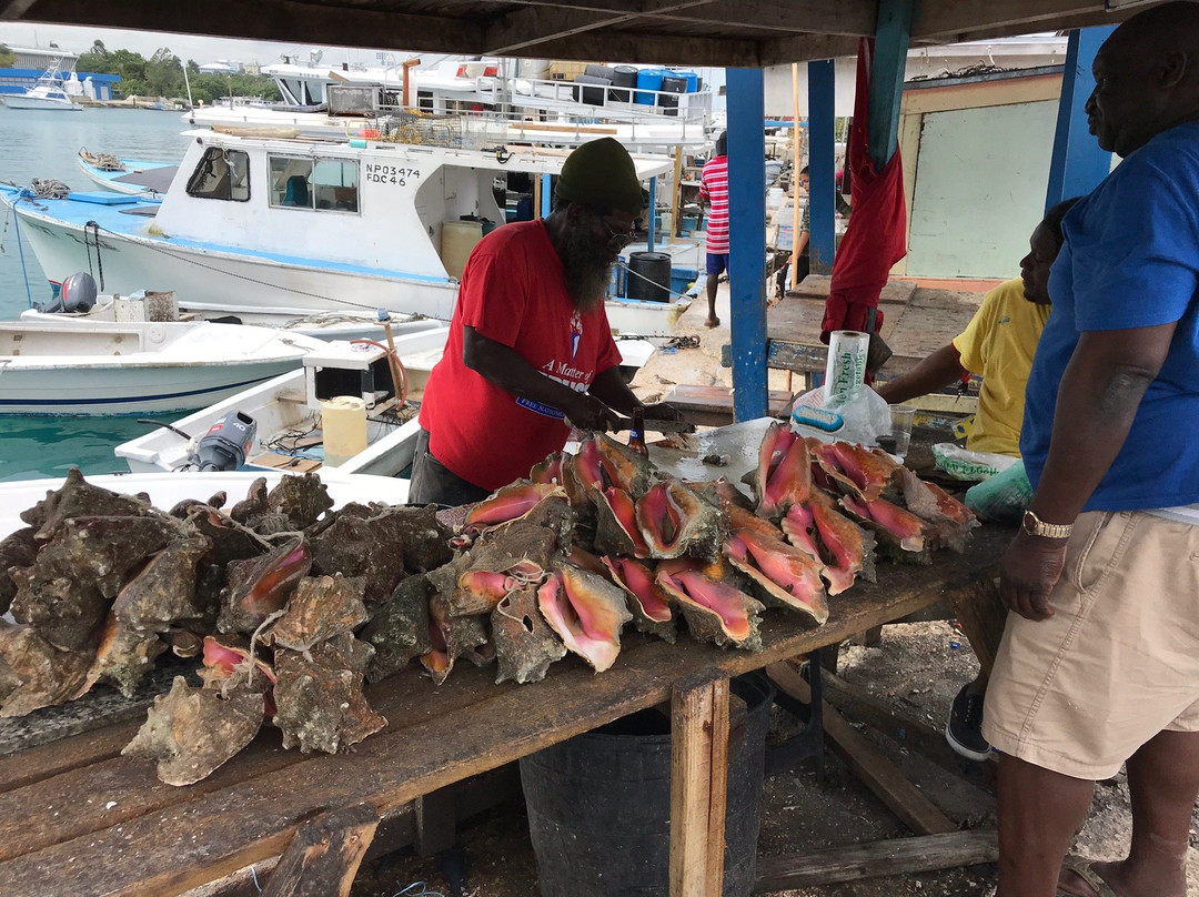 Paradise Island Beach Club主图