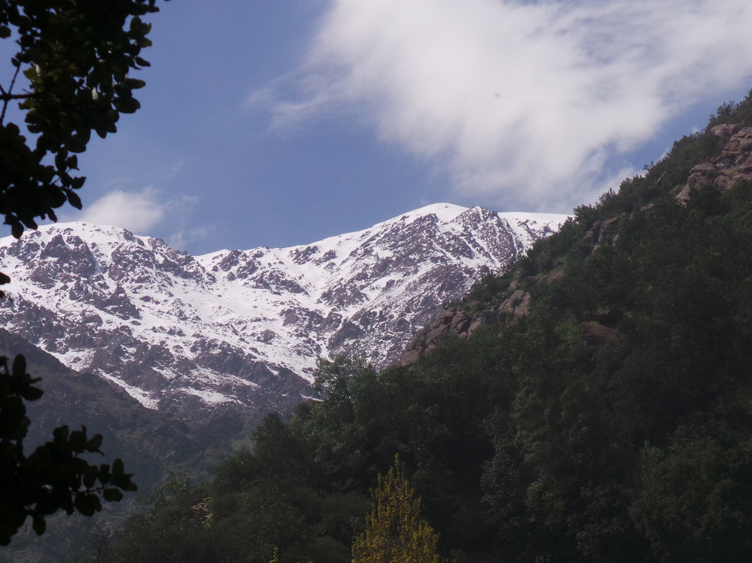 Parque Quebrada de Macul景点图片