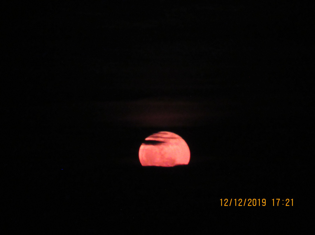 Mahalo Boats-Progreso必去景点