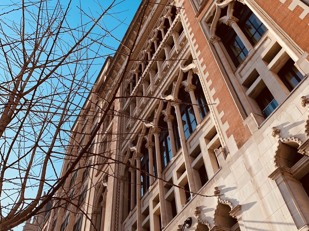 Chicago En Francais-芝加哥必去景点