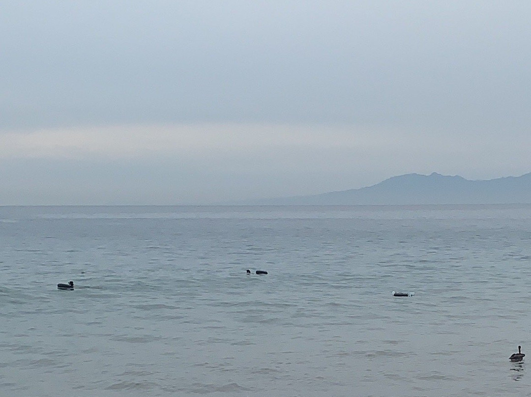 Wibit Mex-Bucerias必去景点