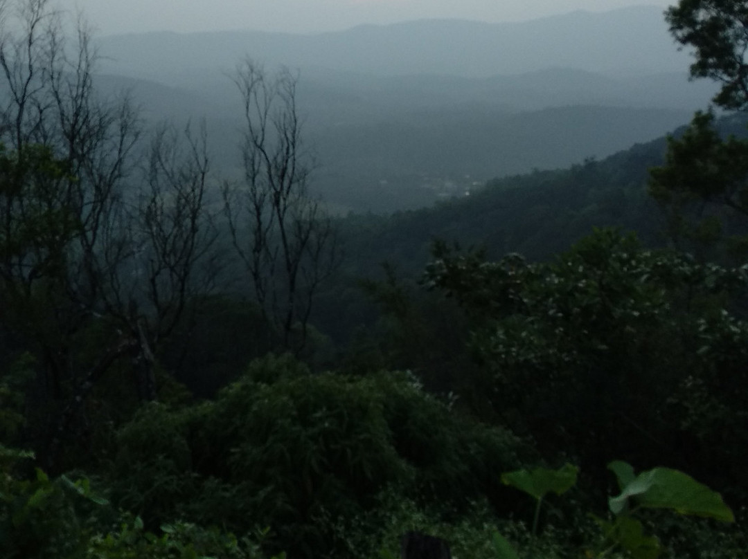 Hotel Mayura Valley View Madikeri主图