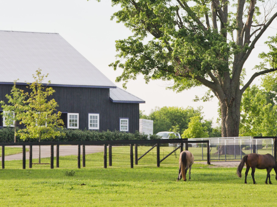 Spy Coast Farm-列克星敦必去景点