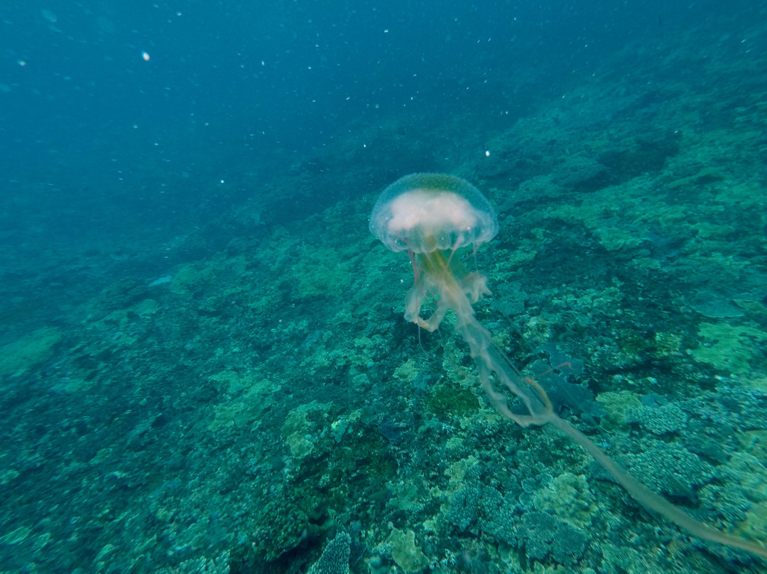 Bluelagoon Paradise Adventure-努沙切宁安岛必去景点