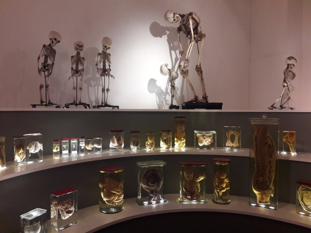University Museum Groningen-格罗宁根省必去景点