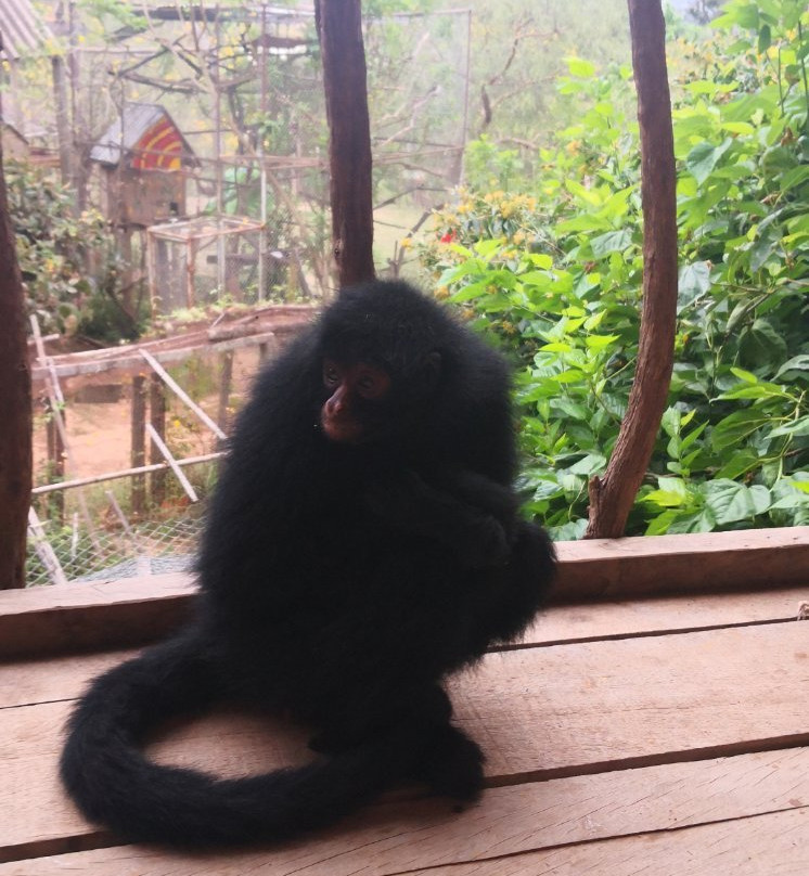 Refugio Zoologico-Samaipata必去景点